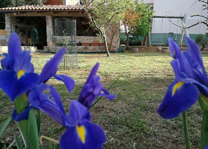 Apartments Gorka